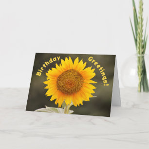 Carte d'anniversaire du tournesol grand et lumineu