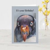 Carte d'anniversaire du Vautour affamé (Fleur jaune)