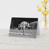 Carte d'anniversaire du Zebra Dancing (Fleur jaune)