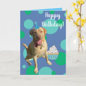 Carte d'anniversaire Dudley Labrador (Fleur jaune)