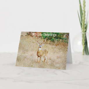 Carte d'anniversaire d'un amateur de cerfs ou d'un