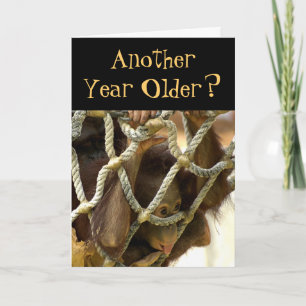 Carte d'anniversaire d'un an