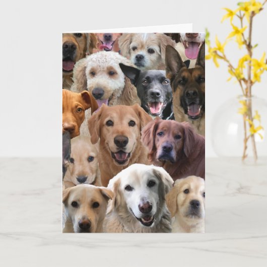 Carte d'anniversaire d'un groupe (Fleur jaune)