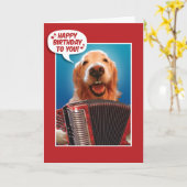 Carte d'anniversaire d'un joueur d'accordion (Fleur jaune)
