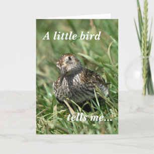 Carte d'anniversaire : Dunlin