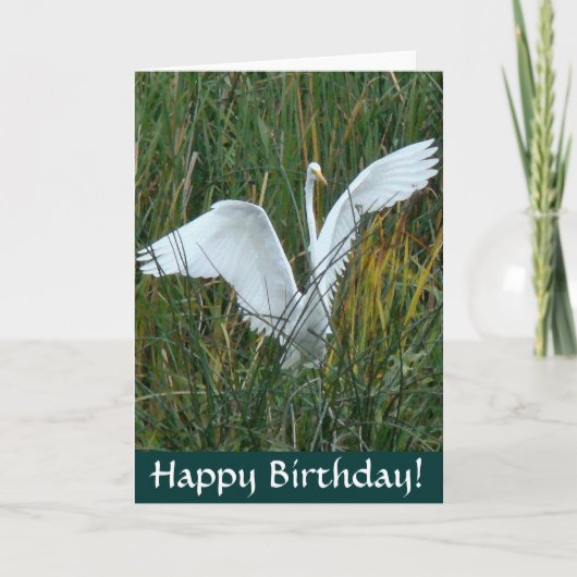 Carte d'anniversaire Egret Happy (Devant)