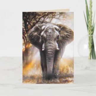 Carte d'anniversaire éléphant