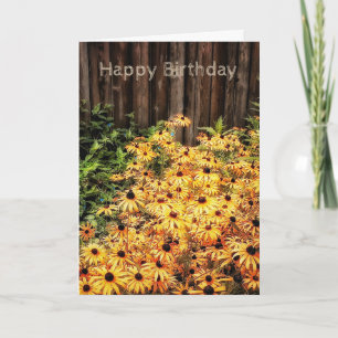 Carte d'anniversaire ensoleillée chaude de