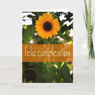 Carte d'anniversaire espagnole