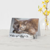 Carte d'anniversaire et chat : Réveillez-vous pour (Fleur jaune)