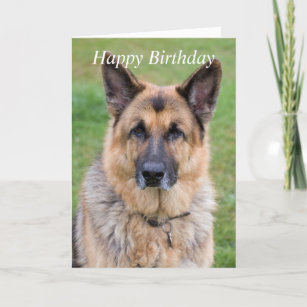 Cartes Berger Allemand D Anniversaire Zazzle Be