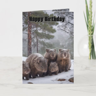 Carte d'anniversaire : Famille de wombats australi