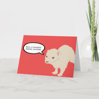 Carte d'anniversaire Ferret
