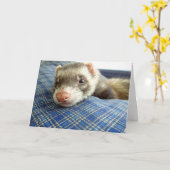 Carte d'anniversaire Ferret Face (Fleur jaune)