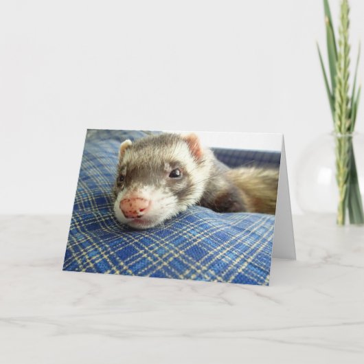 Carte d'anniversaire Ferret Face (Devant)