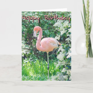 Carte d'anniversaire Flamant rose