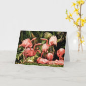 Carte d'anniversaire Flamingo Flamboyance (Fleur jaune)