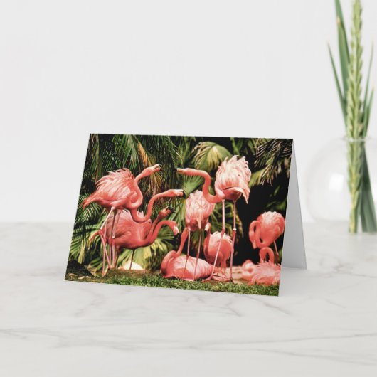 Carte d'anniversaire Flamingo Flamboyance (Devant)