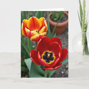 Carte d'anniversaire Fleur de velours