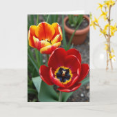 Carte d'anniversaire Fleur de velours (Fleur jaune)