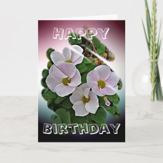 Carte d'anniversaire - Fleurs d'hiver (Devant)