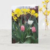 Carte d'anniversaire florale (Fleur jaune)