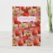 Carte d'anniversaire florale Amaryllis (Dos)