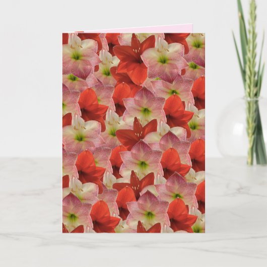 Carte d'anniversaire florale Amaryllis (Devant)