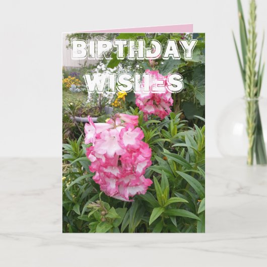 Carte d'anniversaire florale Jardin de fleurs de P (Devant)
