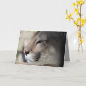 Carte d'anniversaire Florida Panther (Fleur jaune)