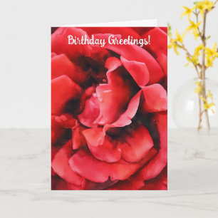Carte d'anniversaire florissante Red Rose Petals A