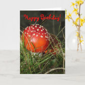 Carte d'anniversaire "Fly Agaric Mushroom" (Fleur jaune)