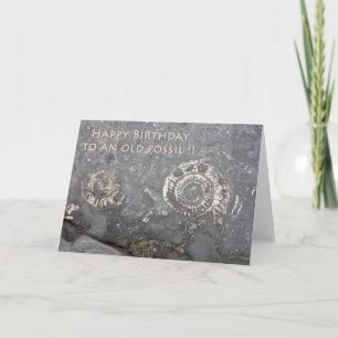Carte d'anniversaire fossile