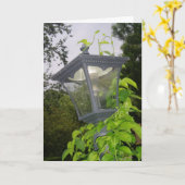 Carte d'anniversaire "Frontyard Streetlight" (Fleur jaune)