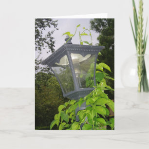 Carte d'anniversaire "Frontyard Streetlight"