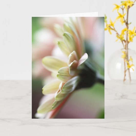 Carte d'anniversaire Gerbera Daisy (Fleur jaune)