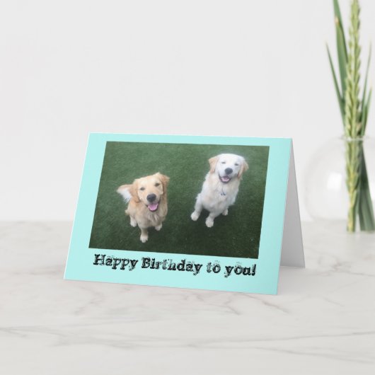 Carte d'anniversaire Golden Retriever (Devant)