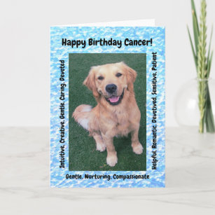 Cartes Golden Retriever D Anniversaire Zazzle Be