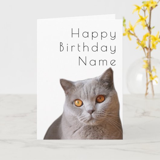 Carte d'anniversaire Gray Short Haidate Chat Art D (Fleur jaune)