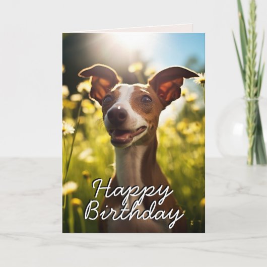 Carte d'anniversaire Greyhound italienne personnal (Devant)