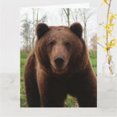 CARTE D'ANNIVERSAIRE GRIZZLY BEAR HUG OVERSIZED (Fleur jaune)
