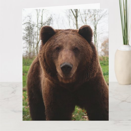 CARTE D'ANNIVERSAIRE GRIZZLY BEAR HUG OVERSIZED (Devant)
