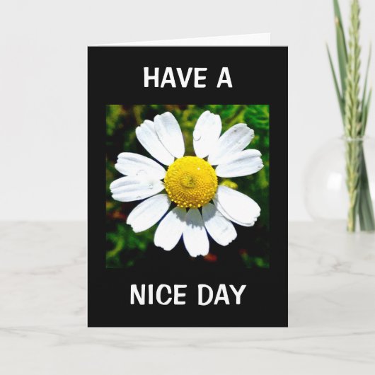 Carte d'anniversaire Have A Nice Day (Devant)