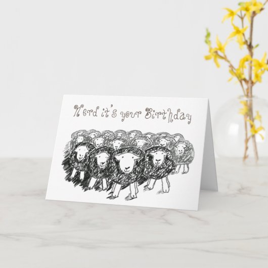 Carte d'anniversaire Herdwick Flock (Fleur jaune)