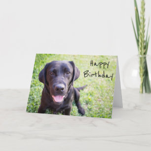 Carte d'anniversaire heureuse au Labrador noir