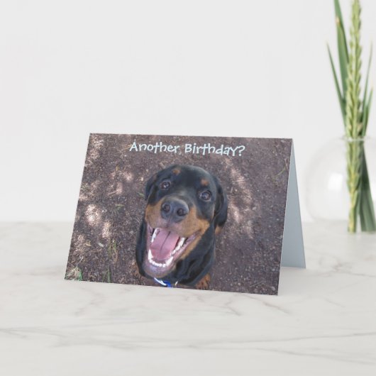 Carte d'anniversaire heureuse de Heidi (Devant)