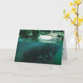 Carte d'anniversaire "Hippopotame" (Fleur jaune)