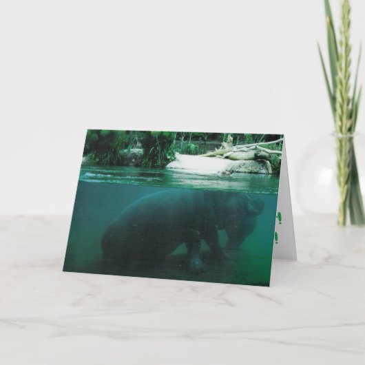 Carte d'anniversaire "Hippopotame" (Devant)