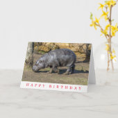 Carte d'anniversaire hippopotame nain (Fleur jaune)