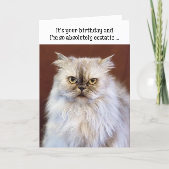 Carte D Anniversaire Humoristique Chat Persan Zazzle Be